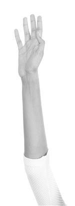 Volunteer - raised hand 